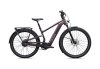 Specialized Turbo Vado 3 4.0 IGH GLOSS NEBULA METALLIC / SILVER DUST M