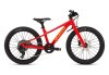 Specialized Riprock 20 GLOSS FLORED CALSUN ORGZST 20