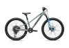 Specialized Riprock Comp 24 GLOSS AGAVE GREY / OAK GREEN METALLIC 24