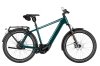 Riese & Müller Charger5 Vario HS Pine