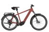 Riese & Müller Charger5 Touring Pro Maroon