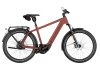 Riese & Müller Charger5 Vario HS Maroon