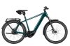 Riese & Müller Charger5 Vario Pine