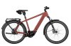Riese & Müller Charger5 Rohloff Maroon